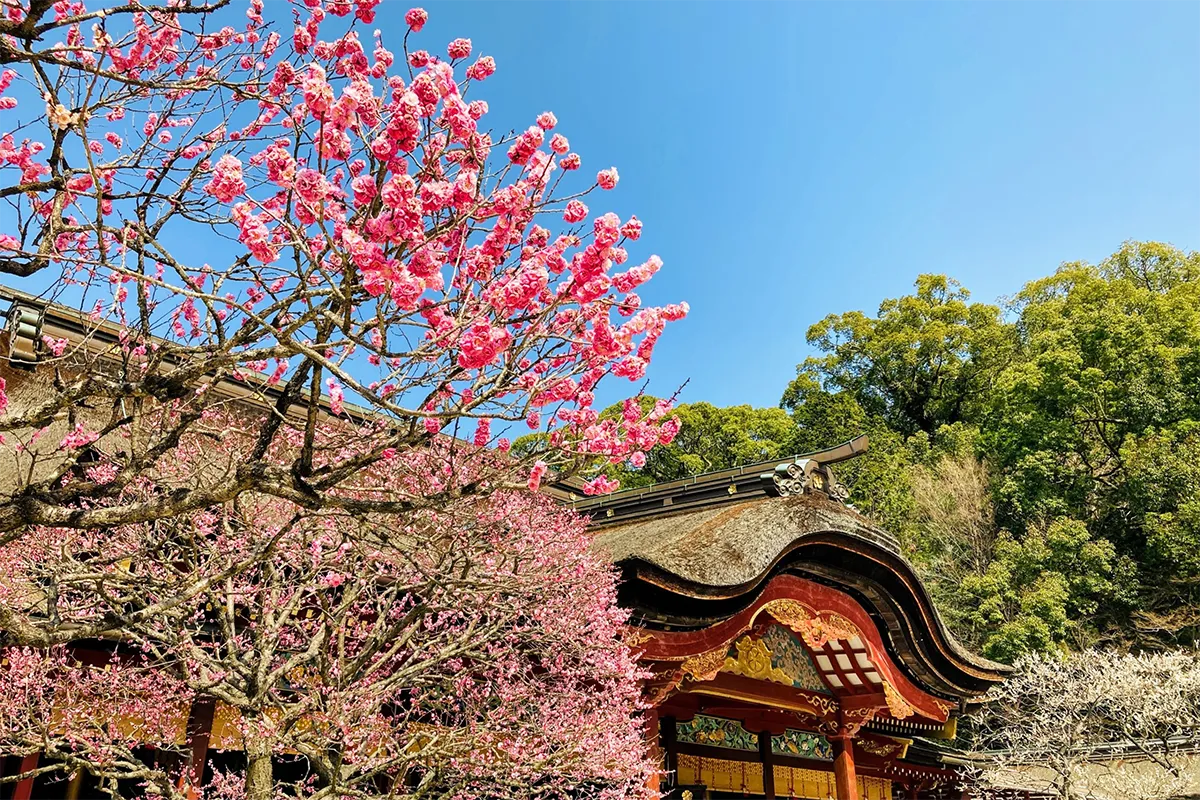 通訳ガイドモデルケース